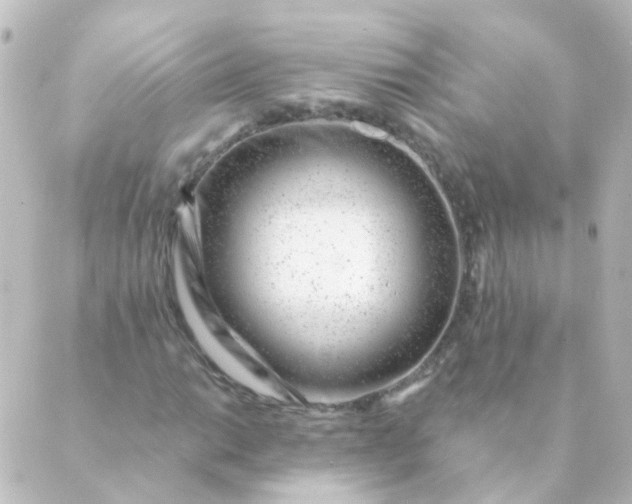 X0000088901014200706221859