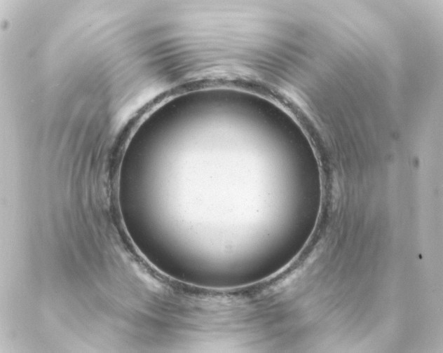 X0000088901018200706221859
