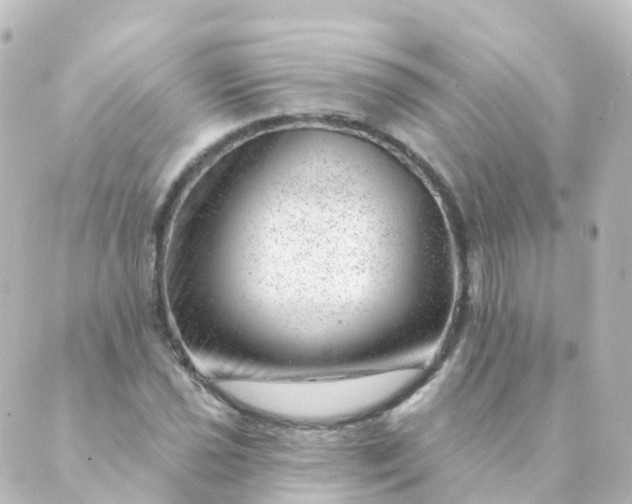 X0000088901021200706221859