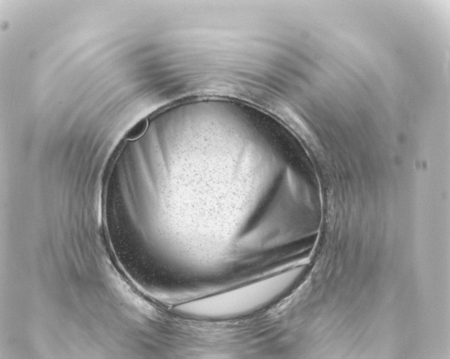 X0000088901036200706221859