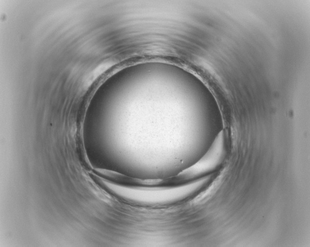 X0000088901065200706221859