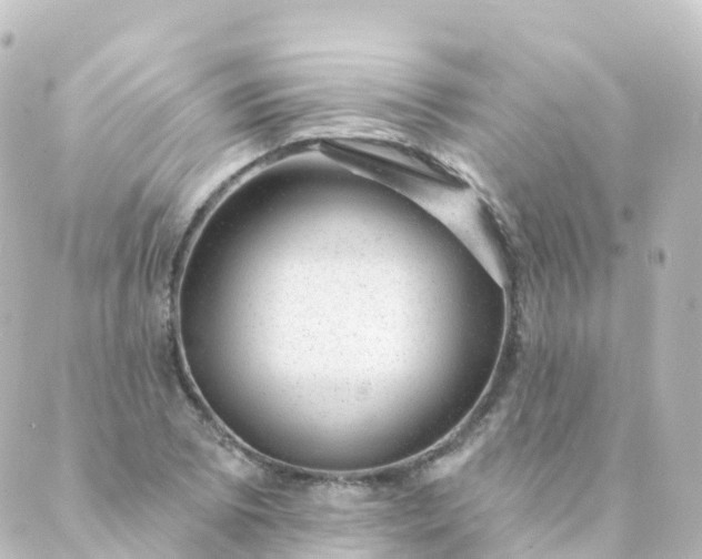 X0000088901073200706221859