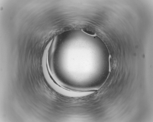 X0000088901108200706221858