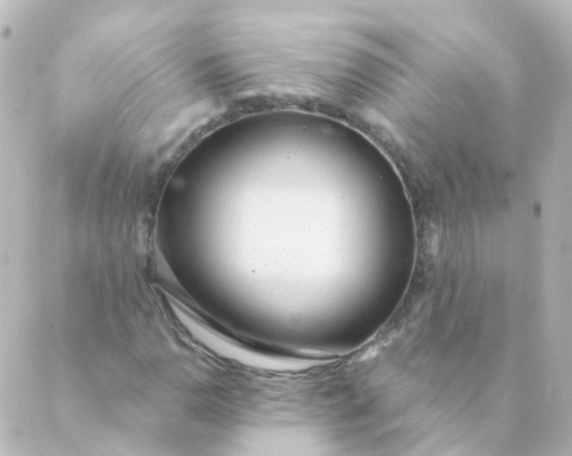 X0000088901110200706221858
