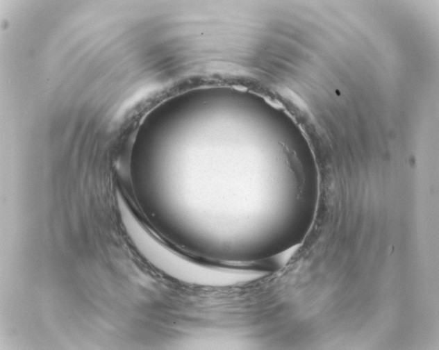 X0000088901112200706221858
