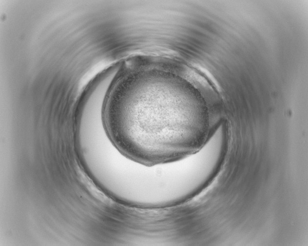 X0000088901114200706221858