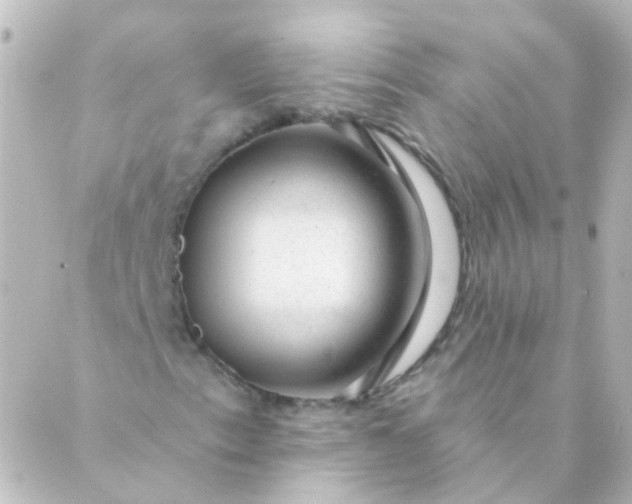 X0000088901153200706221857