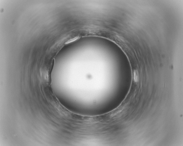 X0000088901155200706221857