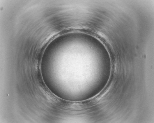 X0000088901161200706221857
