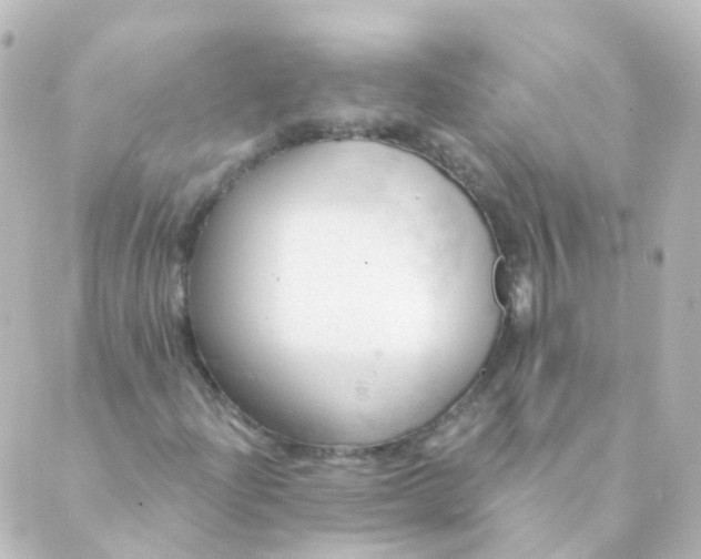 X0000088901204200706221856