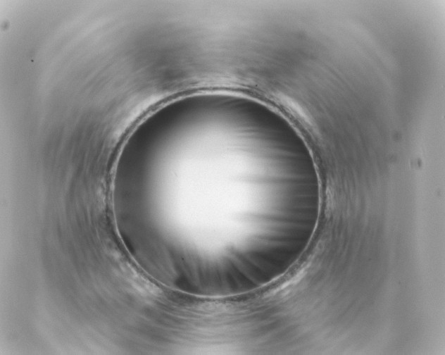 X0000088901212200706221856