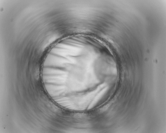 X0000088901306200706221855