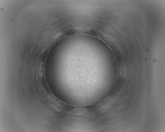 X0000088901346200706221854