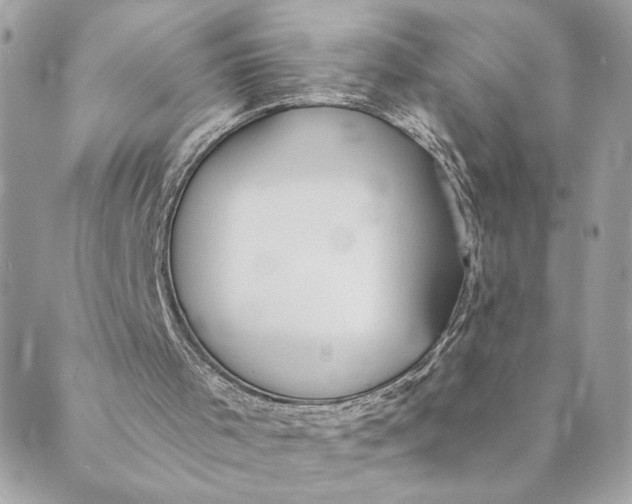 X0000088900001200706291516