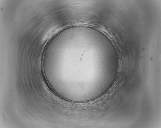 X0000088900002200706291516