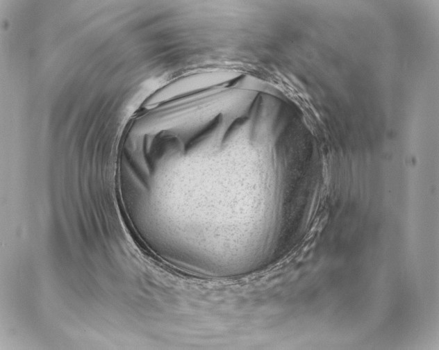 X0000088900003200706291516