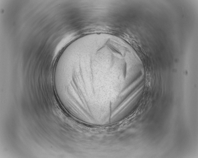 X0000088900004200706291516