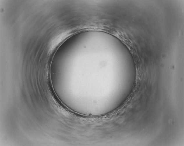 X0000088900005200706291516