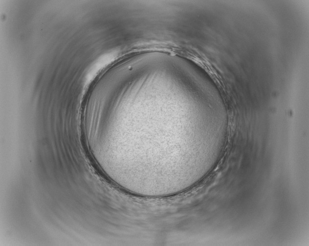 X0000088900006200706291516