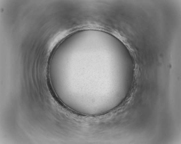 X0000088900007200706291516