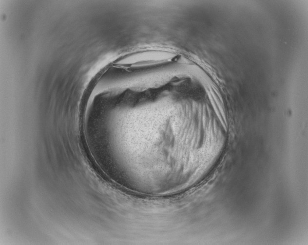 X0000088900008200706291516