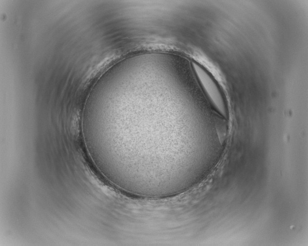 X0000088900009200706291516