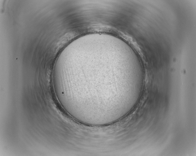 X0000088900010200706291516