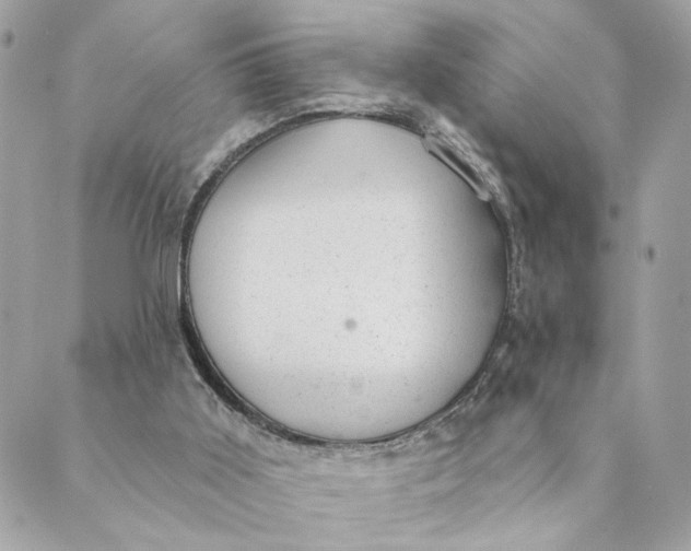 X0000088900011200706291516