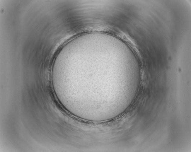 X0000088900012200706291516