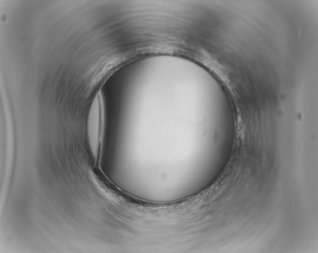 X0000088900013200706291516