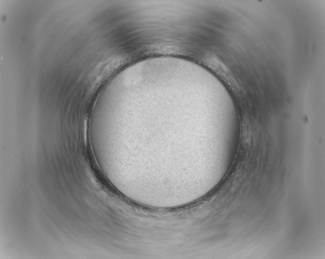 X0000088900014200706291516