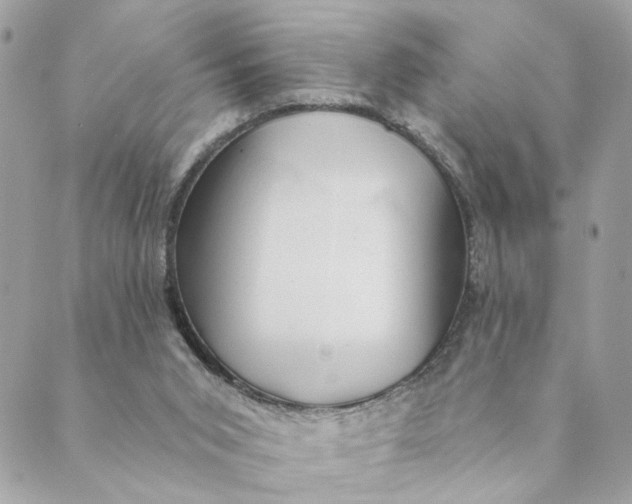 X0000088900015200706291516