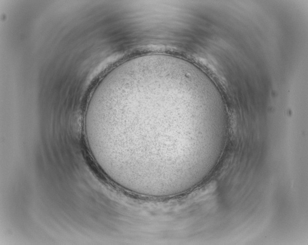 X0000088900016200706291516