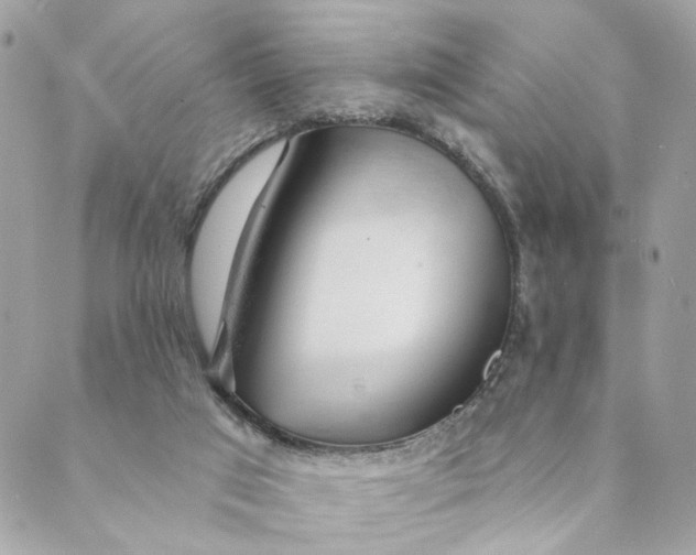 X0000088900017200706291516