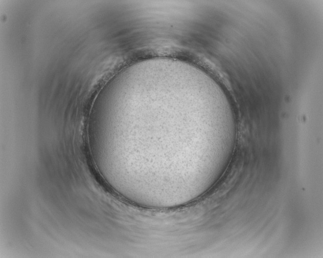 X0000088900018200706291516