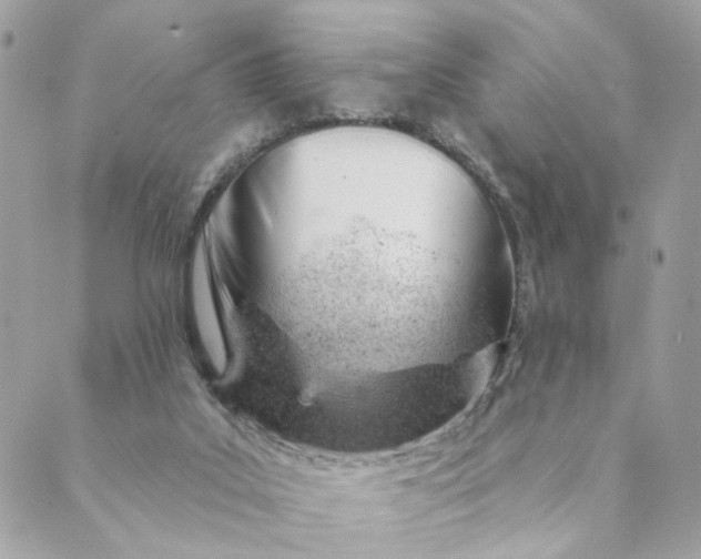 X0000088900019200706291516