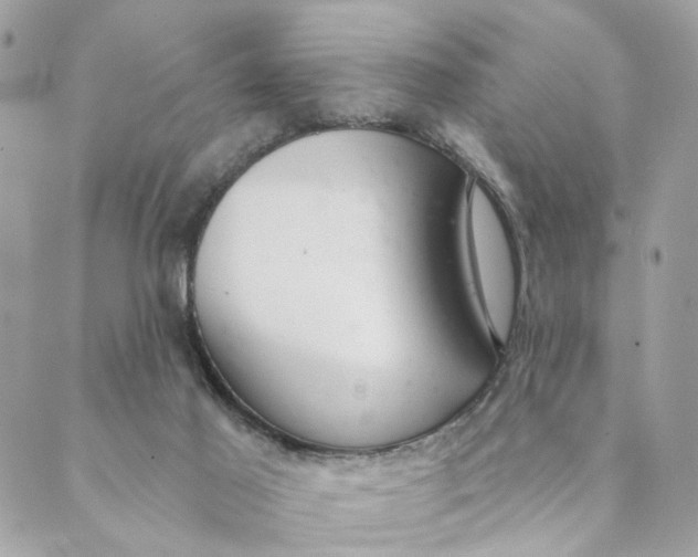 X0000088900021200706291516