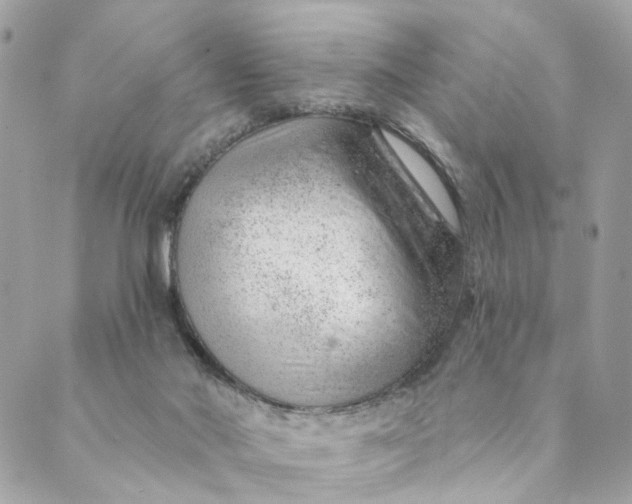 X0000088900022200706291516