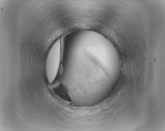 X0000088900023200706291516