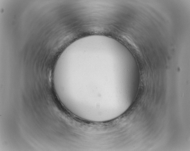 X0000088900024200706291516