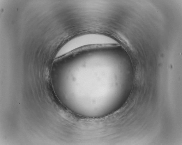 X0000088900025200706291516