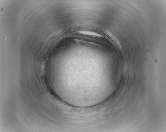 X0000088900026200706291516