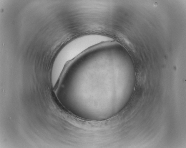 X0000088900027200706291516