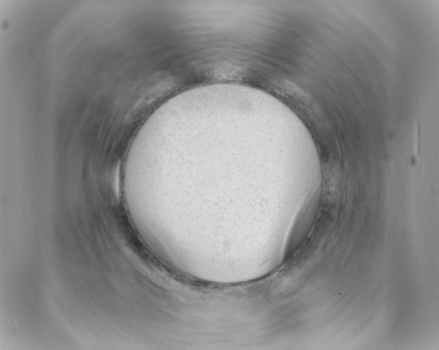 X0000088900028200706291516