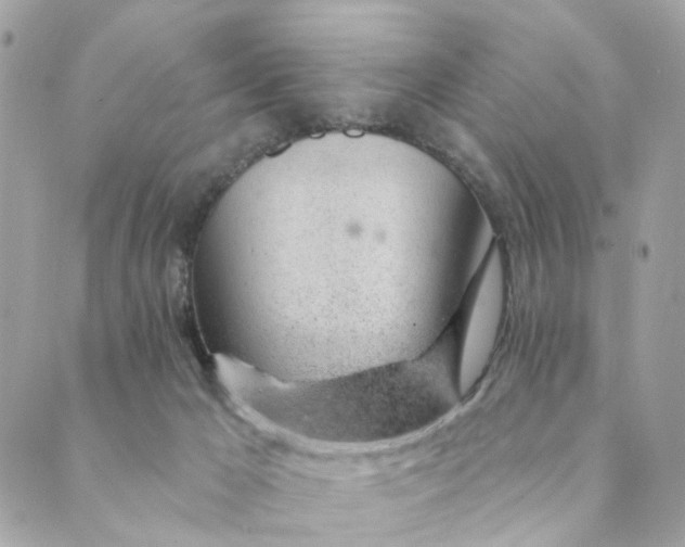 X0000088900029200706291516