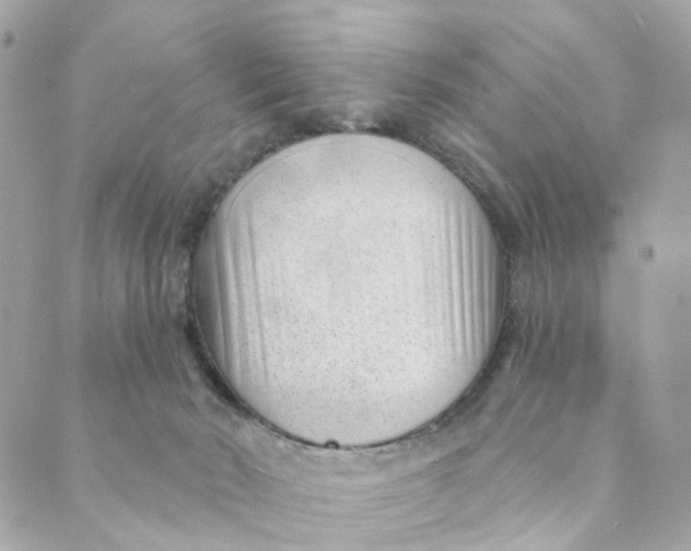 X0000088900030200706291516