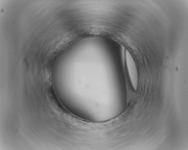 X0000088900031200706291515