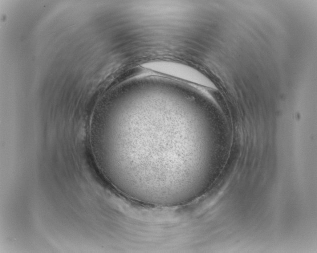 X0000088900032200706291515