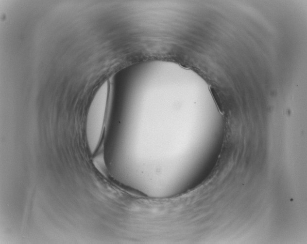 X0000088900033200706291515