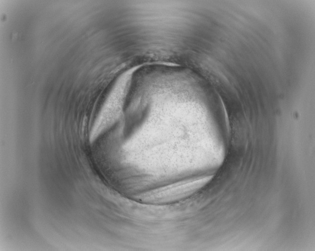 X0000088900034200706291515